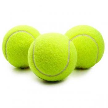 Lion Köpek Oyun Topu Tenis 6 cm ( 3 Adet )